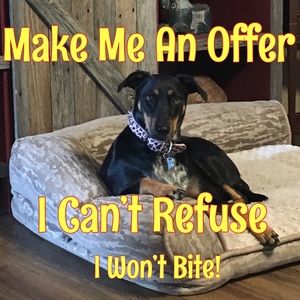 ❗️Make An Offer❗️